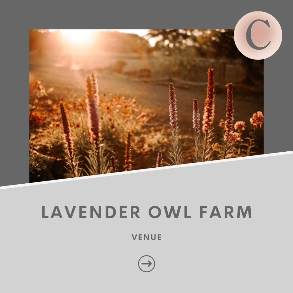 LAVENDER-OWL-FARM directory pnw weddings venue-min PNW Directory Image - 3 Birds Caravan