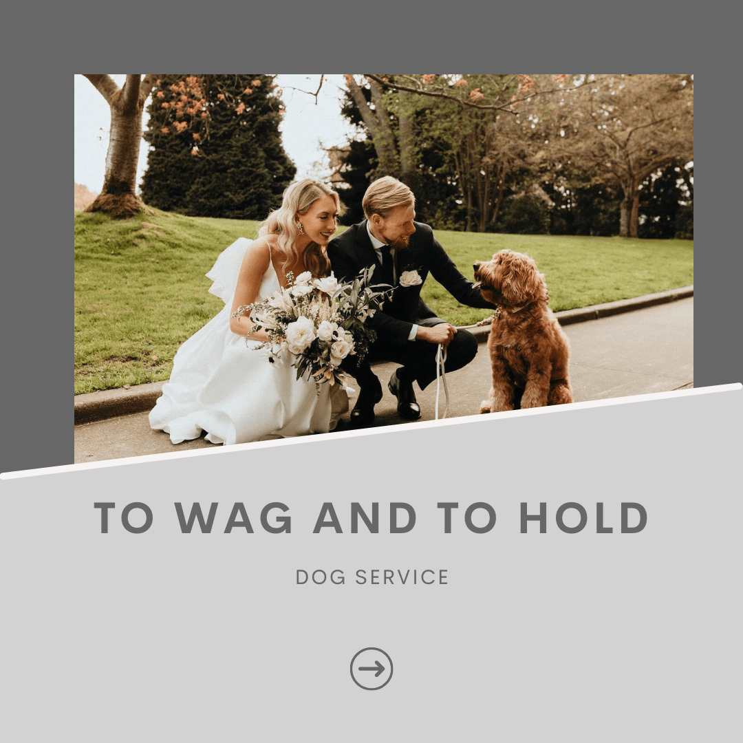 PNW Wedding Vendors - This Will Be - Seattle Wedding Planner-min PNW Directory Image - EC Matrimony