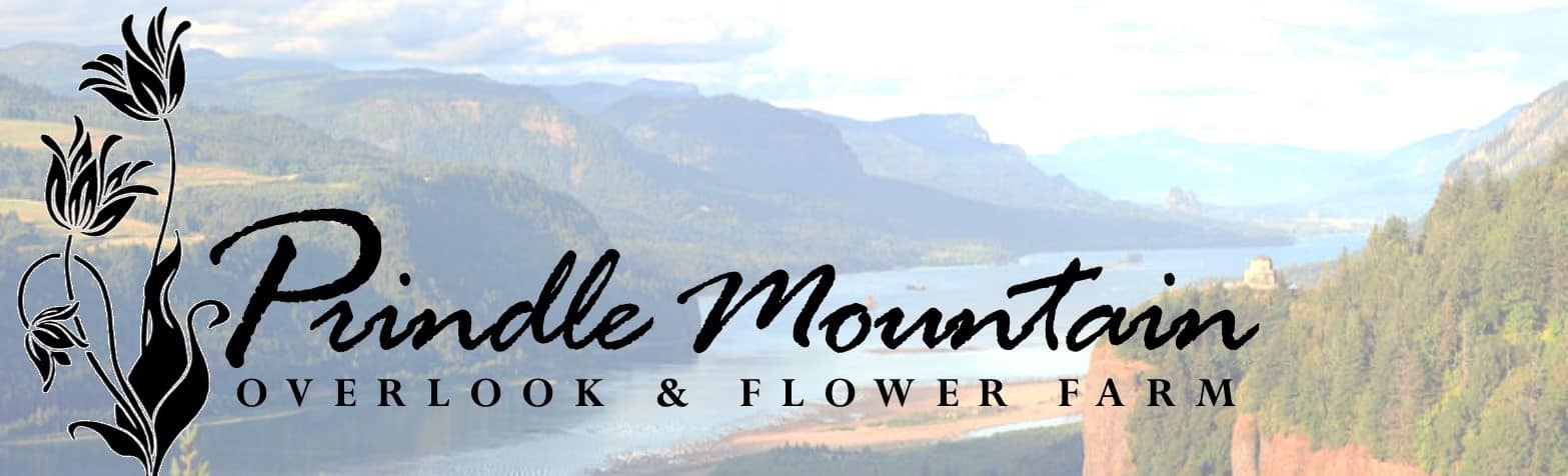 Ribbon and Twine Floral