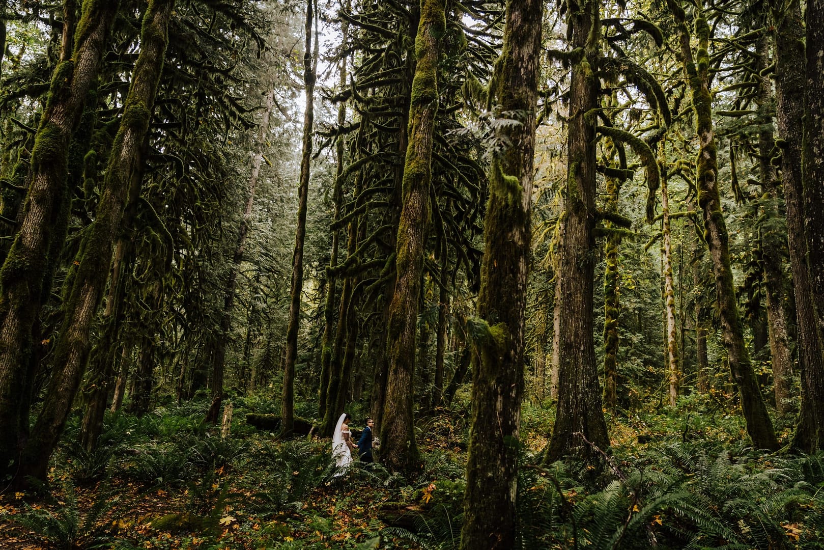 Deep woods wedding Myrtle Creative Co Pacific Northwest Weddings Annie Purkey Fine Art