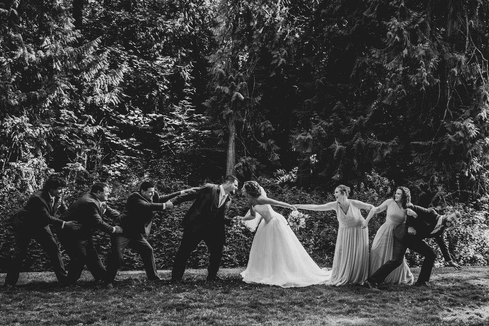 Beyond the Forest Events