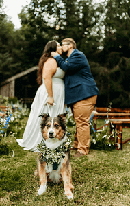 Wags Down The Aisle - PNW Weddings - Pet Service - Seattle Washington - Kissing Couple Floral Collar White Brown Dog-min