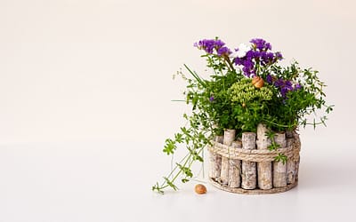 Sustainable florals and decor 5 Tips For a dreamy eco-friendly wedding