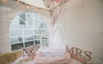 A Unique Themed Wedding from the Bride’s Perspective