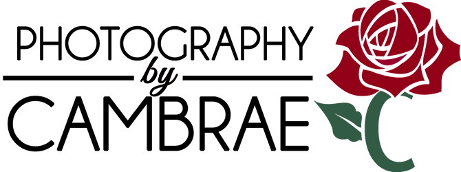 Ribbon and Twine Floral