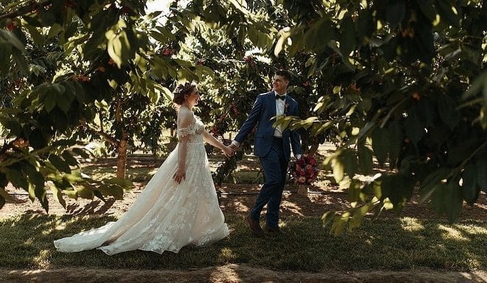 Charlottes Weddings and More Charlottes Weddings and More