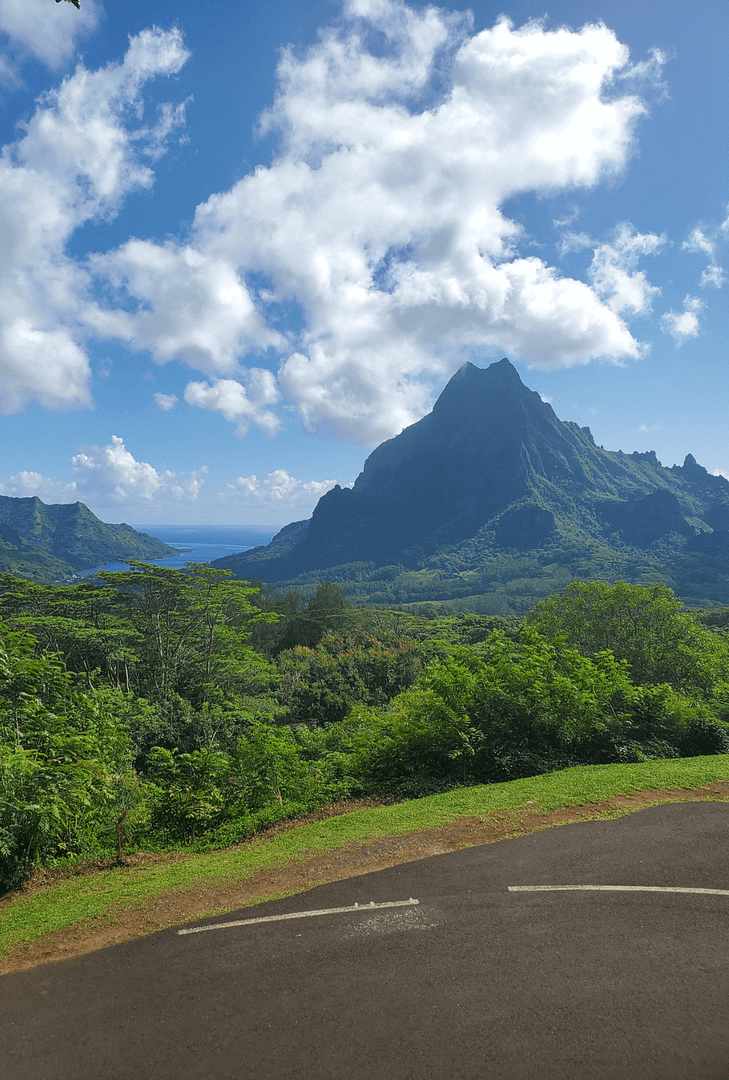 PNW Weddings-Voyage Views honeymoon mountain island destination-min