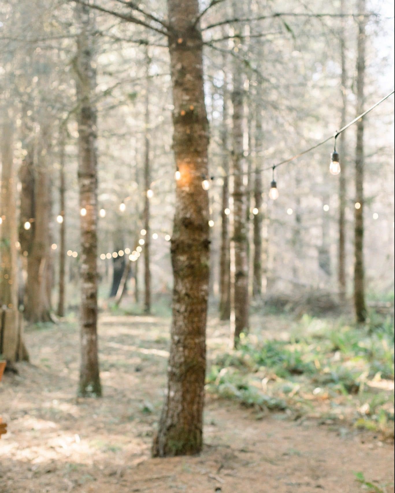 white water 4 Whitewater Wedding Venue